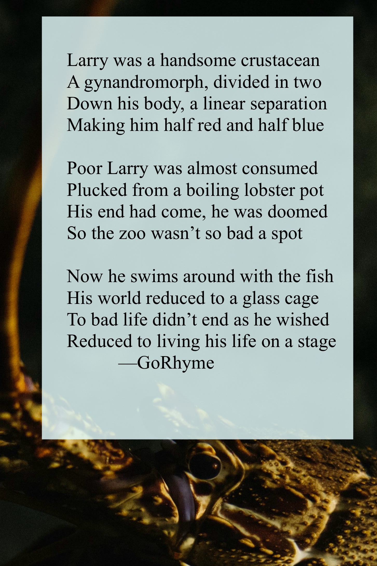 Poetry by Kelly Gray